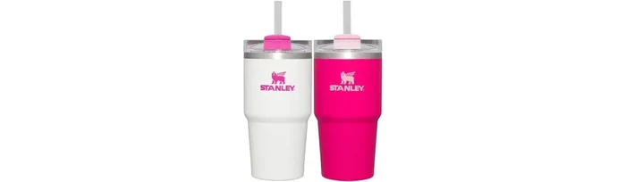 2pk 20oz Stainless Steel H2.0 Flowstate Quencher Tumblers – Pink Vibes/White
