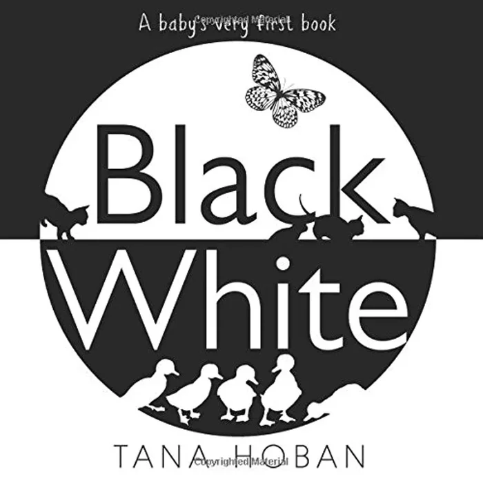 A Baby’s Very First Book of Black & White