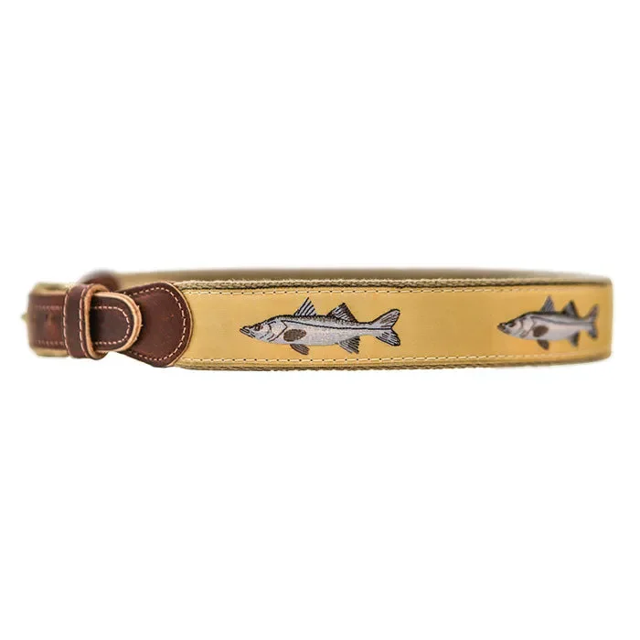 Belt Snook