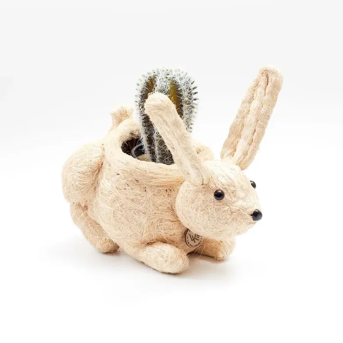 Bunny Planter – Handmade Planters | Likhâ