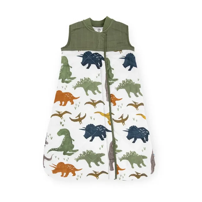 Cotton Muslin Quilted Sleep Bag – Dino Friends