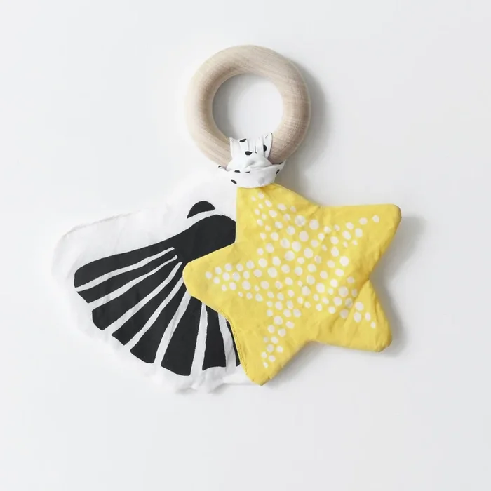 Crinkle Teether – Starfish
