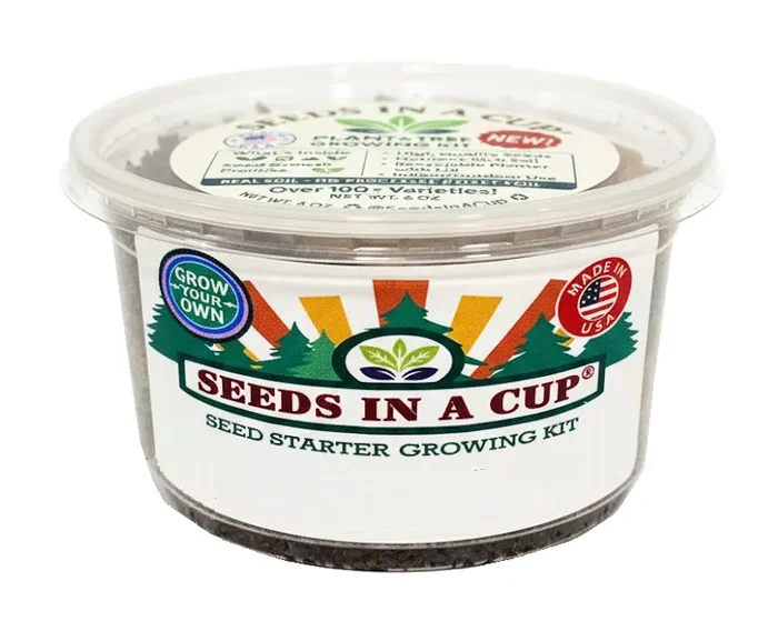 Date Palm Tree | Seed Starter Grow Kit |