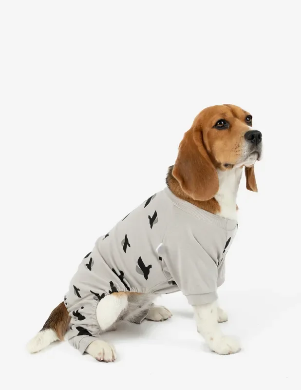 Dog Grey Bird Pajamas