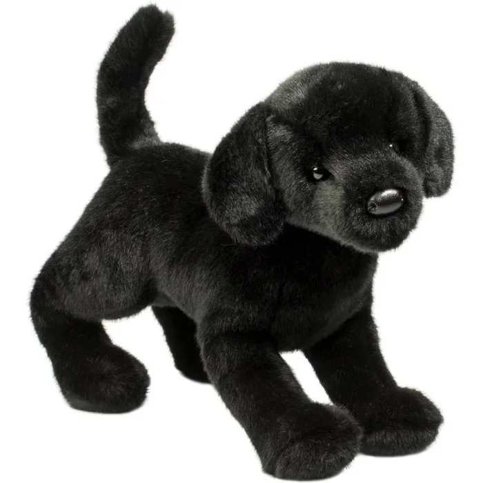 Douglas Chester Black Lab