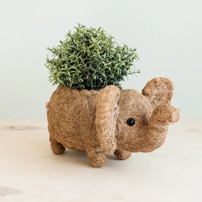 Elephant Plant Pot – Handmade Planter | Likhâ