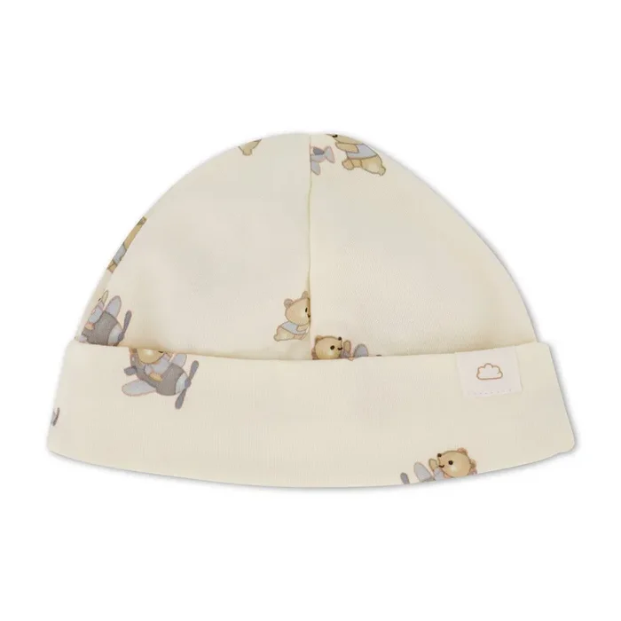 Hat – Airplane Bears
