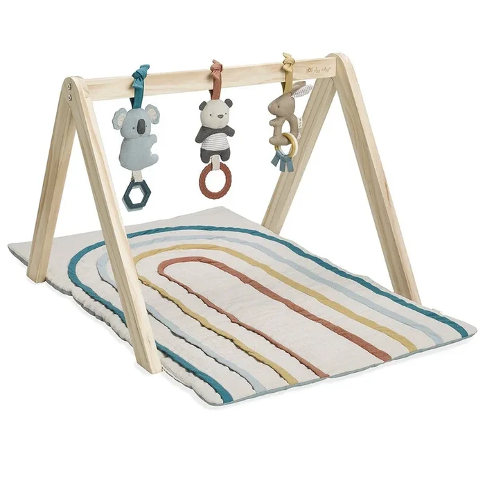 Itzy Ritzy Activity Gym | Rainbow