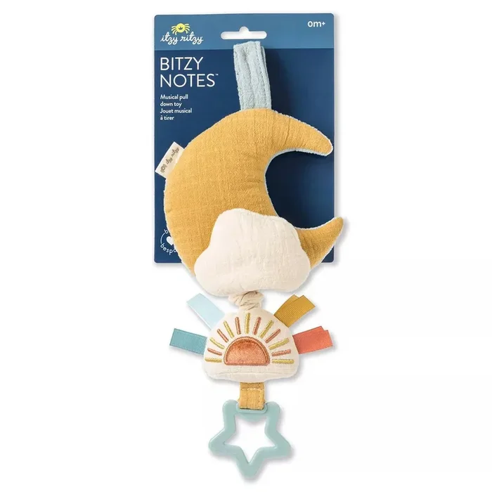 ITZY RITZY BITZY NOTES MUSICAL PULL-DOWN BABY LEARNING TOY