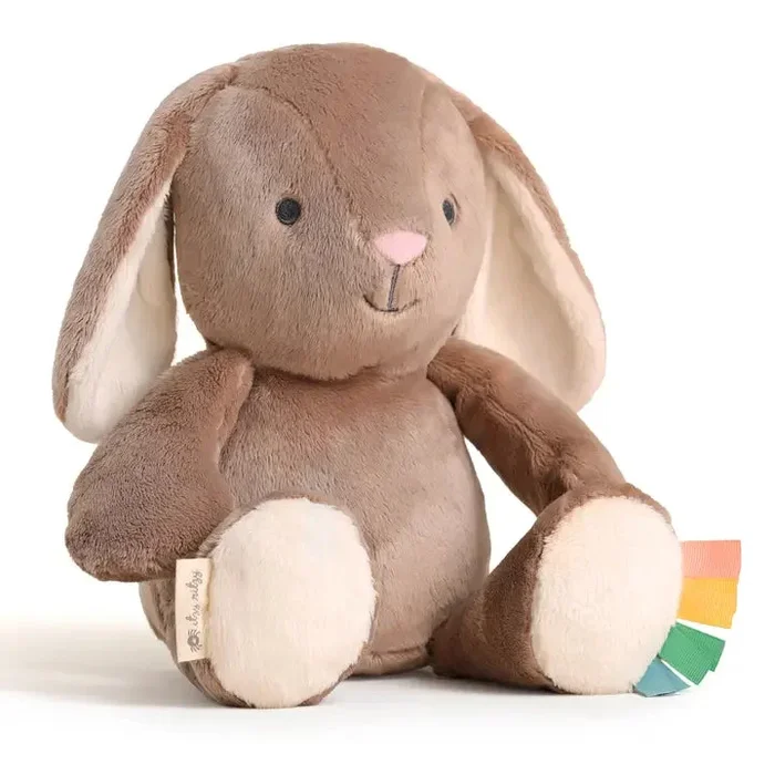Itzy Ritzy Sweetie Snuggles Plush | Billie the Bunny