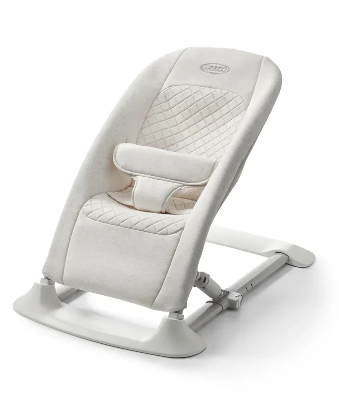 JumpStart 4-in-1 Activity Bouncer, Wren (See Description)