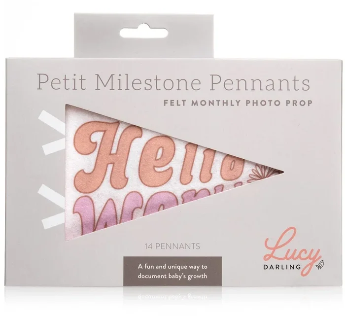Lucy Darling Petit Milestone Pennant – Flower Child