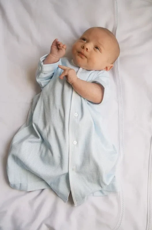 Lullaby Set Blue Mini Gingham Pima Daygown