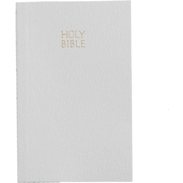 Mud Pie Kids Bible