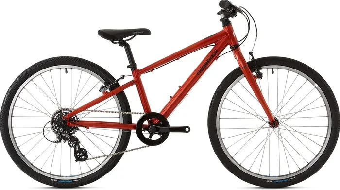 Ridgeback Dimension 24-Inch Kids Bike