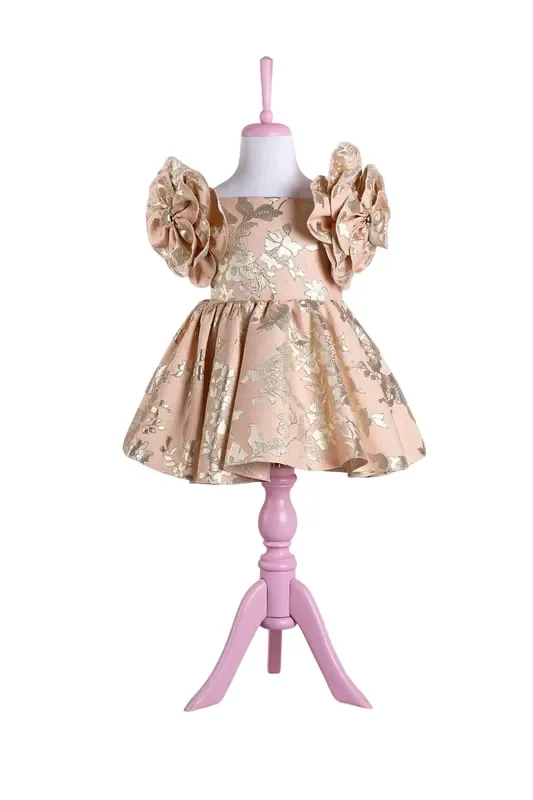 Rosa Powder Party Dress