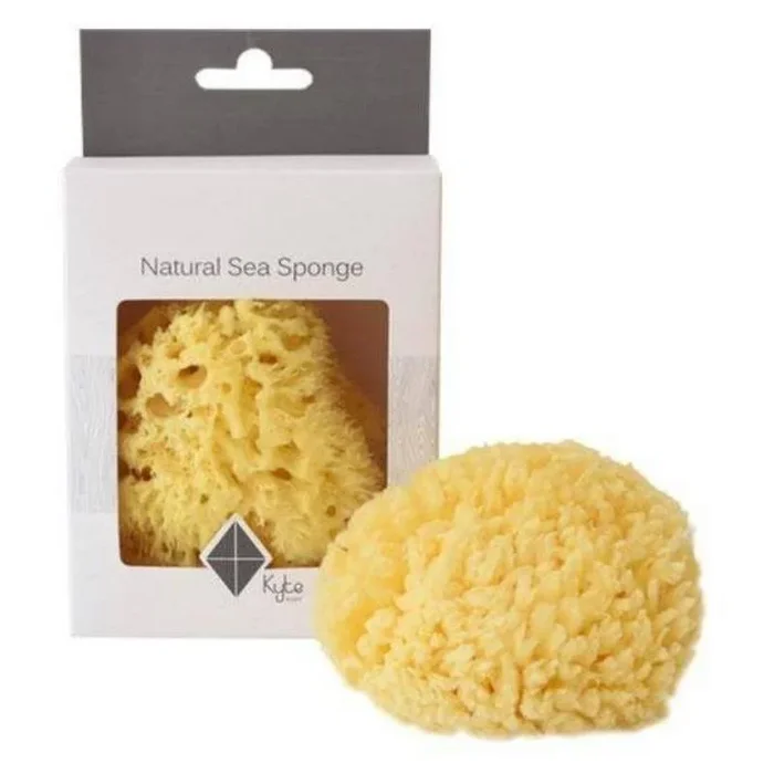 Sea Sponge