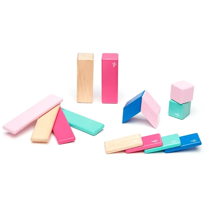 Tegu 14 Piece Magnetic Wooden Block Set: Blossom