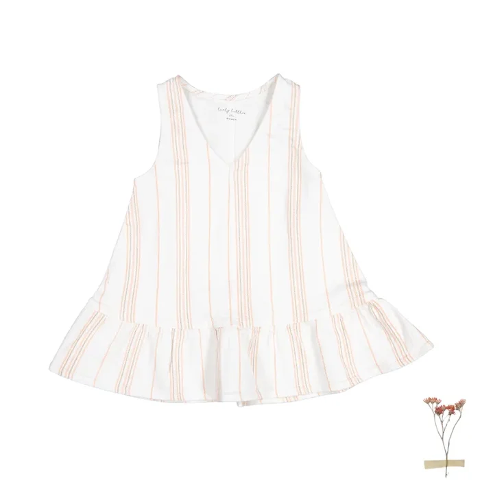 The Denim Dress – Rose Stripe