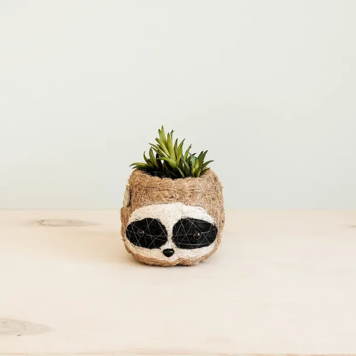 Three-tone Sloth Coco Coir Planter – Handmade Planters | Likhâ
