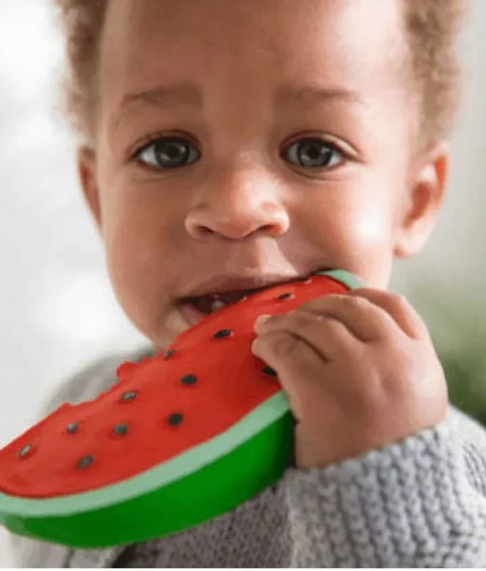 Wally the Watermelon Teether