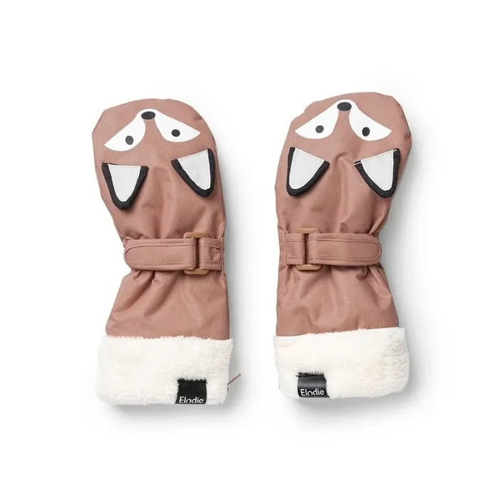 Winter Mittens