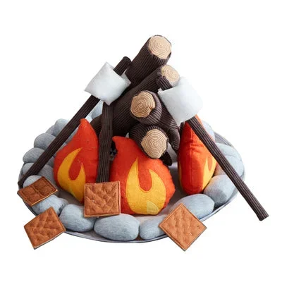 Wonder and Wise Campout Campfire & S’mores