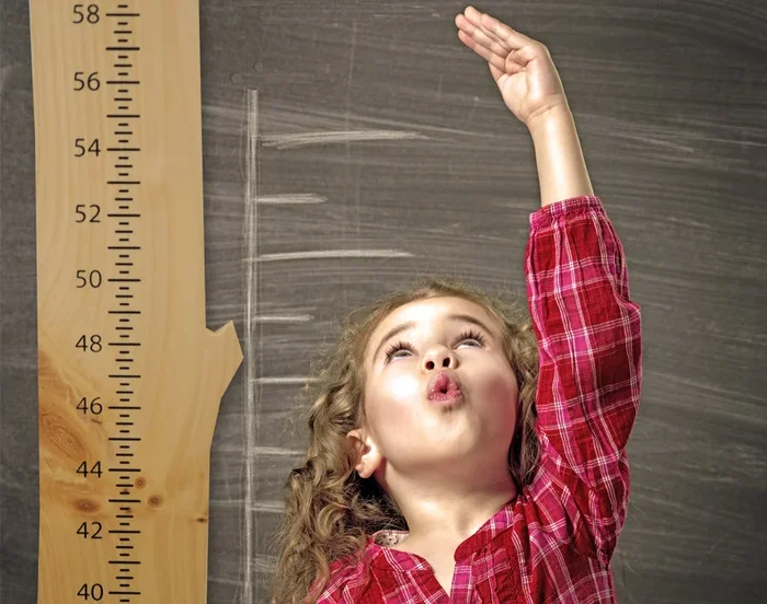 Wood from the Hood Growth Chart